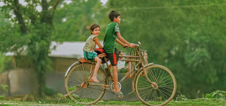 Adventure awaits in the Sundarbans: 6 days of wild beauty and unforgettable moments!