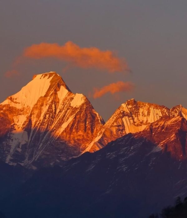 Api Himal Base Camp Trek