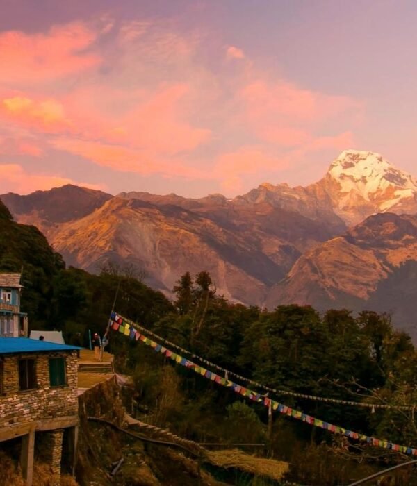 Australian Base Camp Extended Trek
