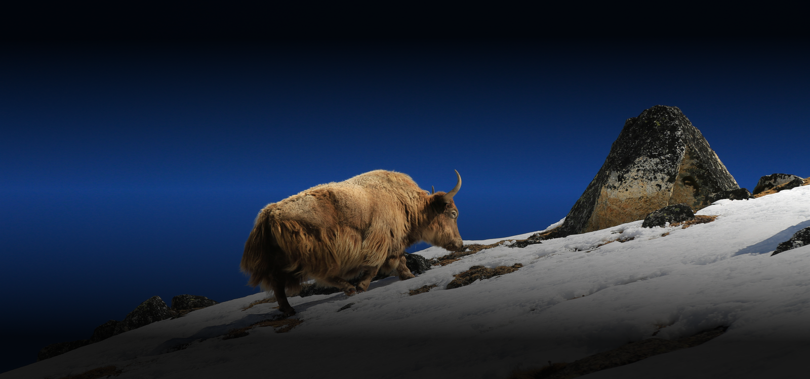 Nepal's Luxury Travel and Trekking Agency - Ghale Treks & Expedition